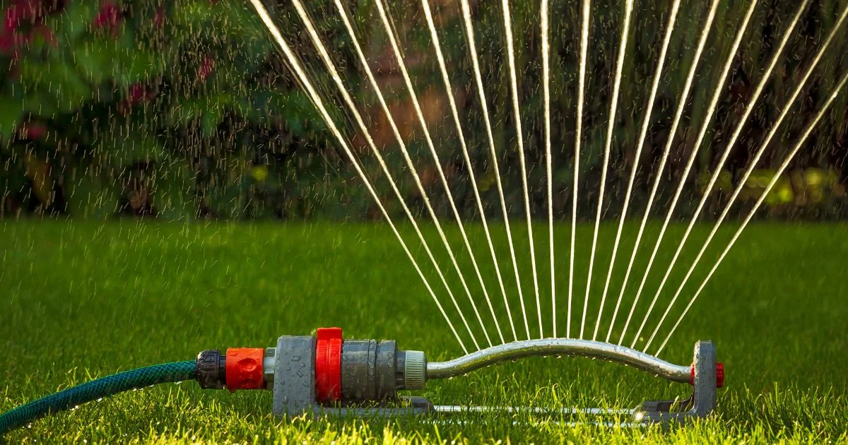 Sprinkler watering green grass in garden.